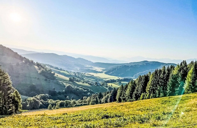 Cosy apartment for 6 guests with WIFI, TV, balcony and pets allowed