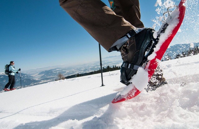 Cosy apartment for 3 people with WIFI, TV and terrace