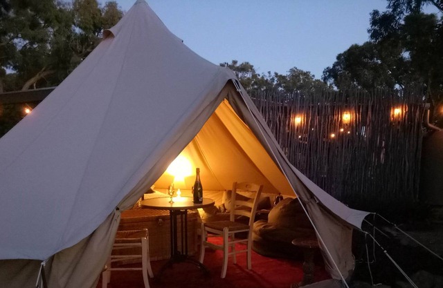 Cosy Bell Tent With an à la Carte Breakfast and up Close Kangaroo Experience