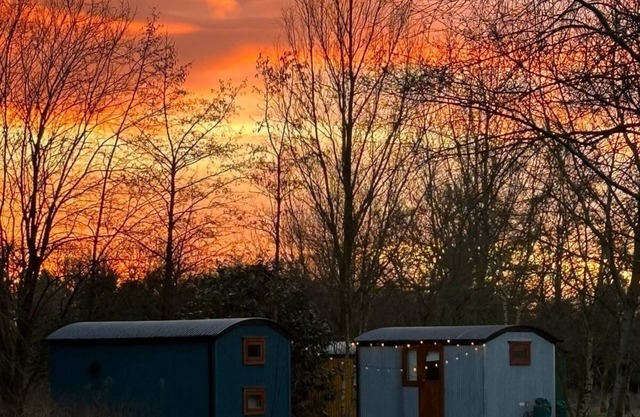 Cosy En-suite Shepherd Huts in beautiful wooded area.