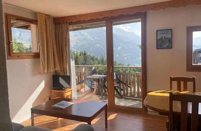 Cosy nest with superb view of the Vanoise Park, 100m from the slopes.