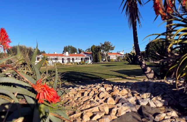 Cosy one Bedroom House 5 minutes from Zambujeira do Mar - House 3