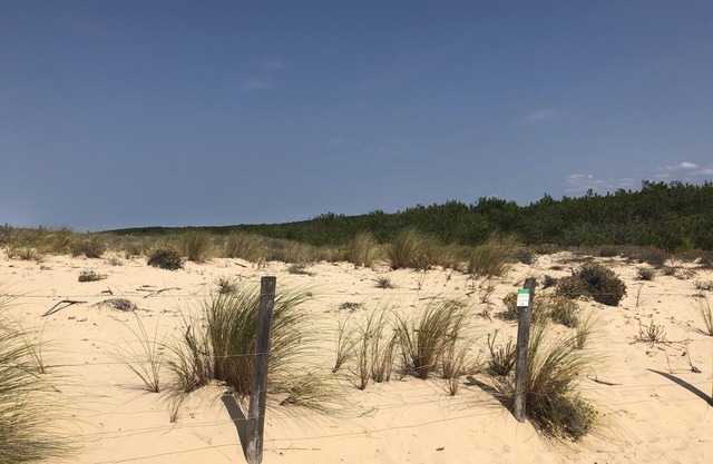 Cottage with heated pool in a quiet forest setting