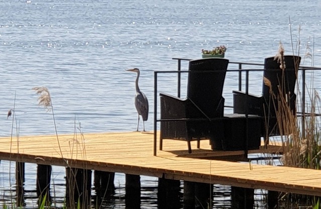Cottage with terrace directly on the Krüpelsee