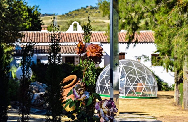 Cottages The Algarrobales- El Rancho