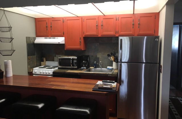 Cozy 1-bed, 1-bath condo on the Fraser river in downtown Winter Park, Colorado