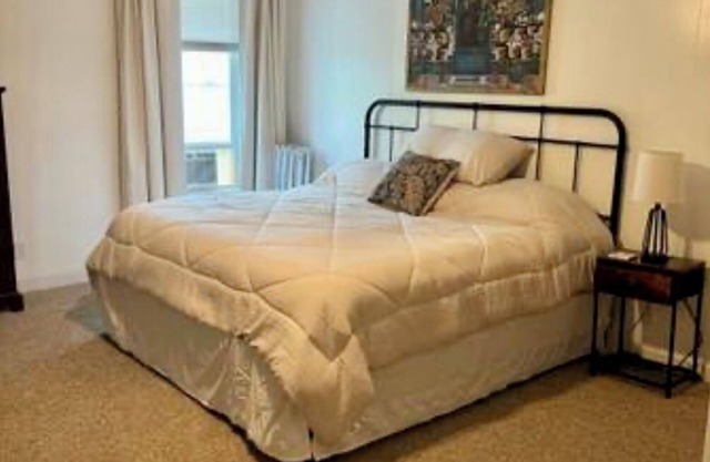 Cozy 1-bedroom apartment in Village of Dannemora with WiFi, AC