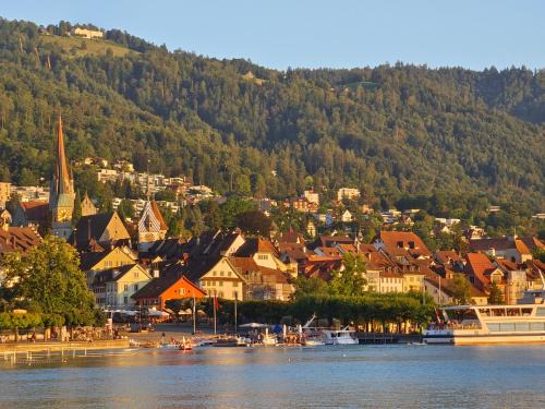 Cozy 1 room apartment in Zug