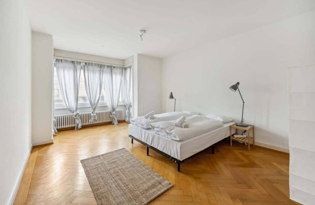 Cozy 2-Bedroom Apartment in Zürich with Kitchen