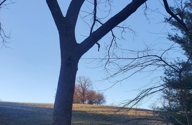 Cozy 3 bedroom house with cabin vibes and a beautiful view