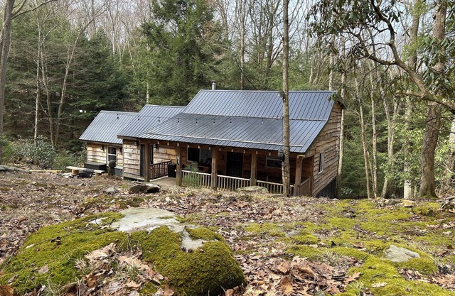 Cozy Bear Cabin in Cook Forest 2 miles from the Clarion River!