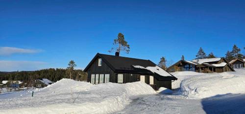 Cozy Cabin Retreat in Lygna Jaren, Norway - Private Entrance BBQ Area