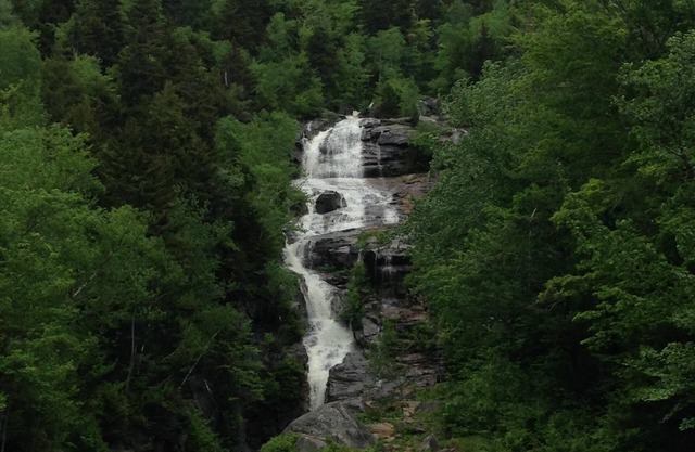 Cozy Chalet! Close to everything! Hiking, Shopping, Storyland & Restaurants!