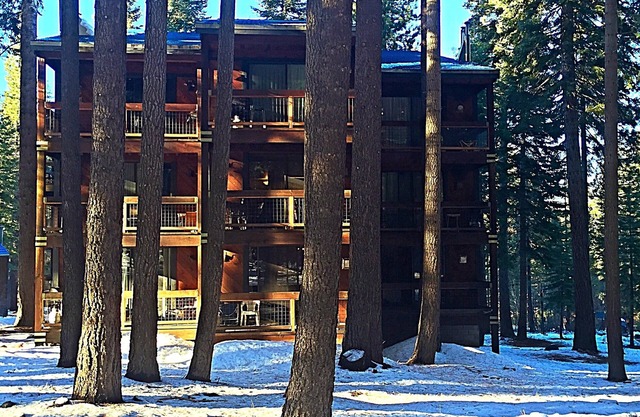 Cozy Condo in a Peaceful Forest Setting, Quick Walk to Village, Pet-Friendly