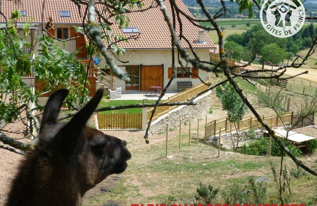 Cozy cottage with spa and sauna - Pets allowed