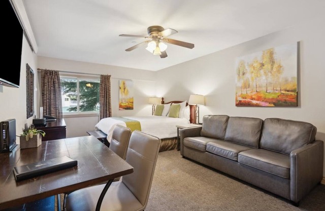 Cozy Falcon Point Studio