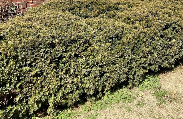 Cozy home for a peaceful stay! Gym included.