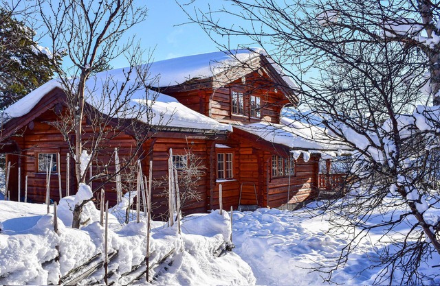 Cozy home in Hovden i Setesdal