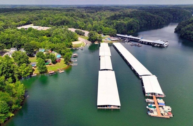Cozy, lakeside cabin on beautiful Tims Ford Lake