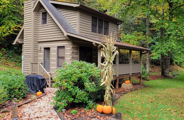 Cozy Log Cabin Getaway Waynesville, Smokey Mountains, Blue ridge Parkway