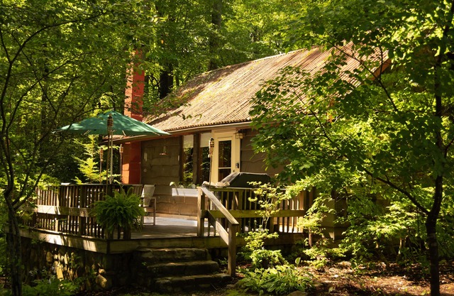 Cozy mountain cabin bordering national forest