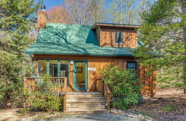 Cozy Mountain Top Cabin 13 Acres Near Dupont State Forest-Pet Friendly-Wifi- EV