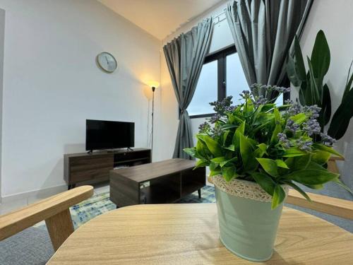 Cozy Sensory, Southville City