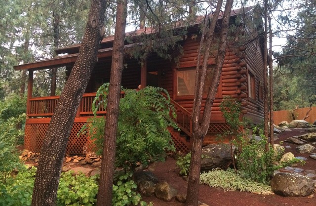 Cozy streamfront cabin nestled in the pines