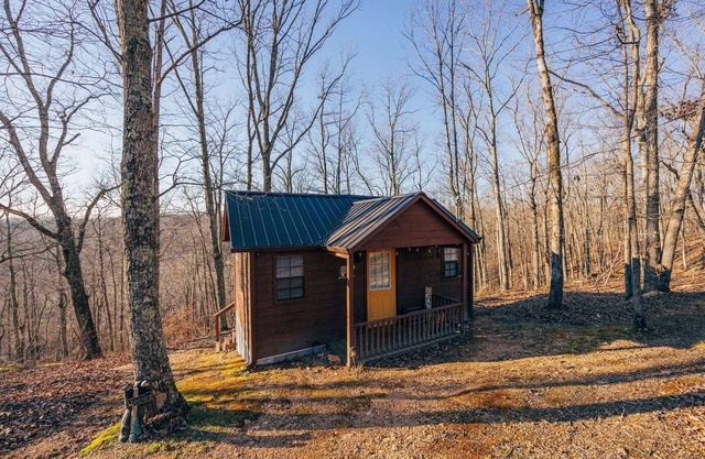 Cozy Tiny Cabin w/Peace and Quiet- 3min from TN River, 1hr 15min from Nashville