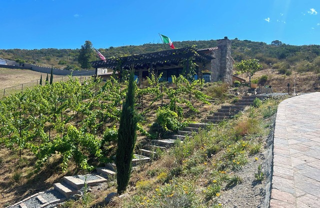 Cozy Tuscan Villa in Pastoral Landscape of Vista
