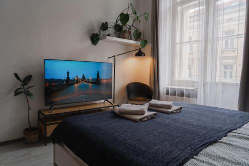 Cozy warm studio in Prague city center