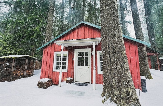 Cozy Winter Cabin! Steamy Hot Tub + Classic Woodstove. Mt. Hood Getaway.