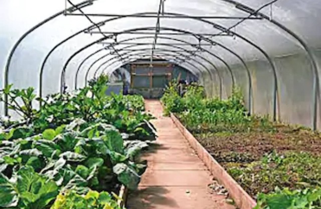 Craig-y-Dderwen Riverside Hotel