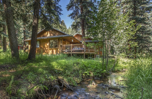Creekside Cabin WOW🌲