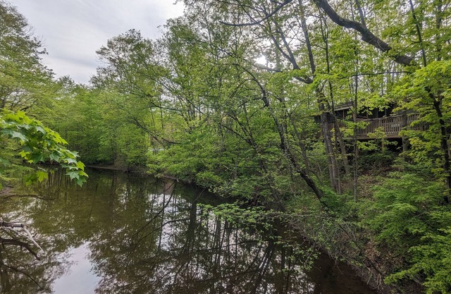 Creekside Hidden Eco Vintage Cottage in Nature Sanctuary