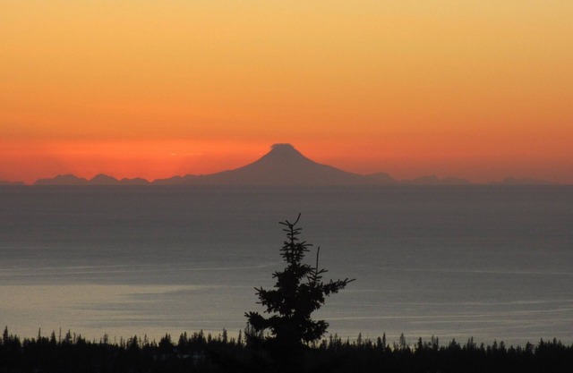 Custom Built Home W/Amazing Views Of Kachemak Bay