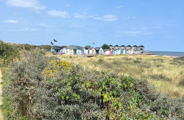 Cute chalet, close to stunning sandy beach. Well-behaved dogs welcome.