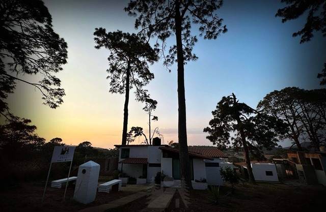 Dago Cabin