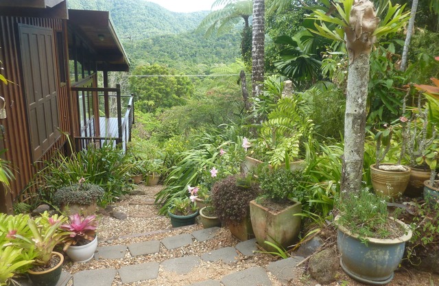 Daintree Holiday Homes - The Folly - Nature Retreat Daintree