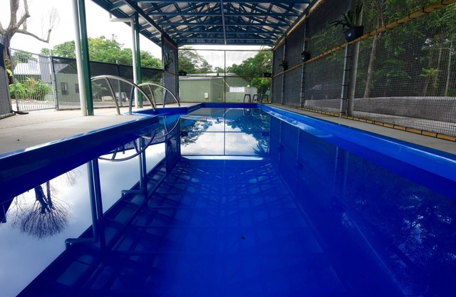 Daintree Peaks ECO Stays