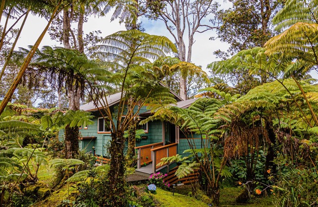 Darling, Private Cottage Near Hawaii Volcanoes Nat'l Park