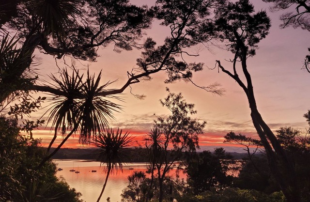 Designer Dwelling in Native Bush With Intimate Harbour Views. 13km to Matakana