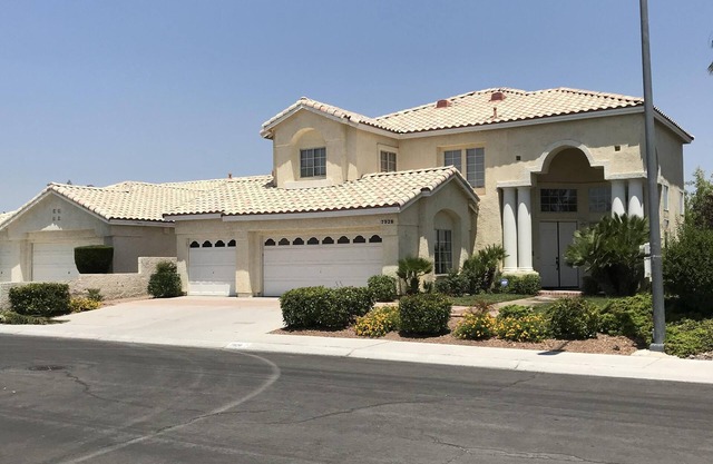 Designer Home with Large Pool
