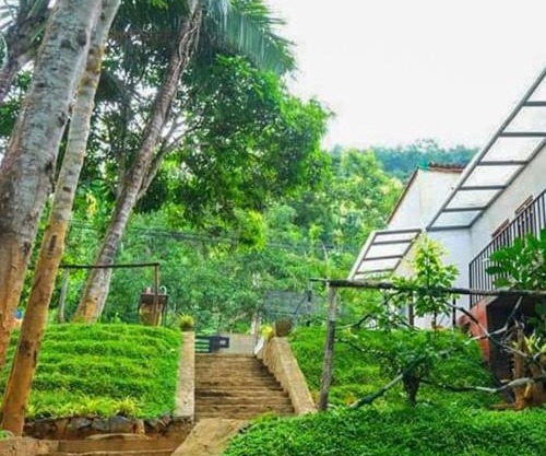 Dhighayu Ayurvedic Wellness Resort