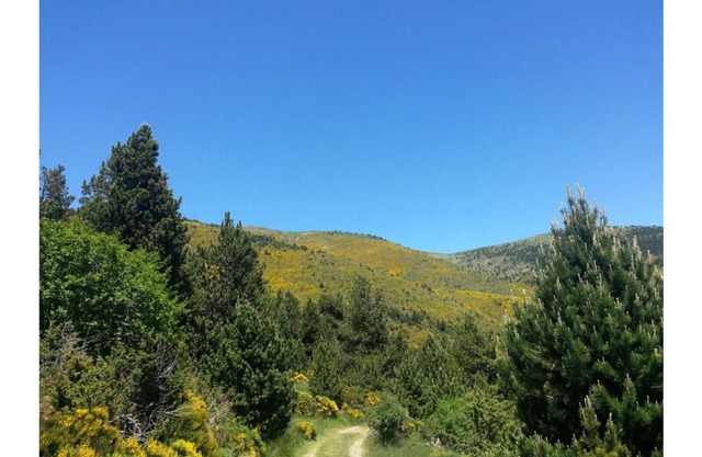 Di Verena - Three people with private bathroom nr 34