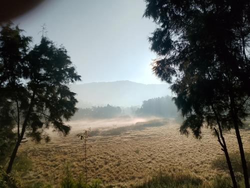 Dieng glamping syari'ah