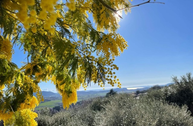 Dimora Borgo Gaon - Casa Elios