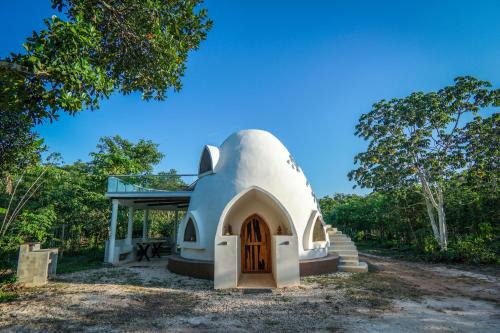 Dome @Jackfruit Jungle Paradise