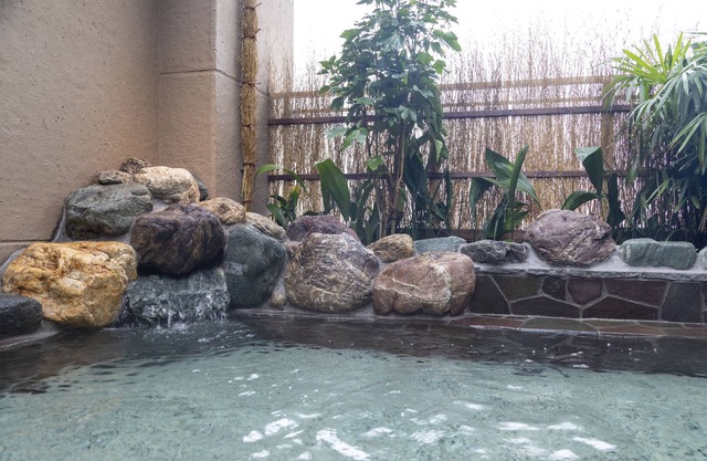 Dormy Inn Kawasaki Natural Hot Spring
