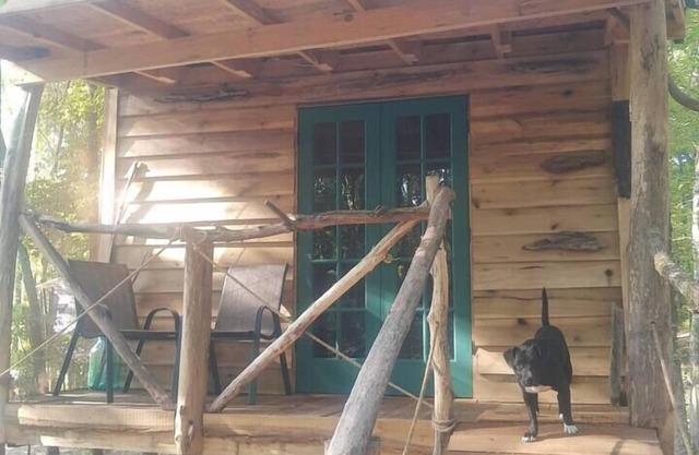 Driftwood Treehouse Cabin w/AC, Peaceful & Cozy!